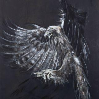 Power Animals | Falcon