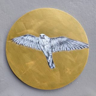 Power Animal | Falcon