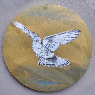 Power Animal | Falcon