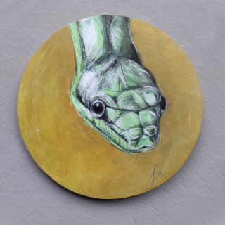 Power Animal | Snake